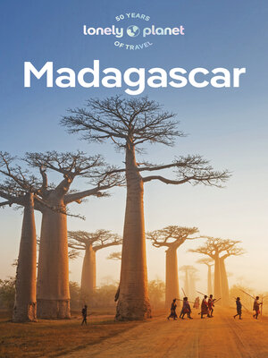 cover image of Travel Guide Madagascar 10